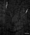 /album/quand-limaginaire-rentre-le-reel-ou-lille-3000/tri-postal-jpg/